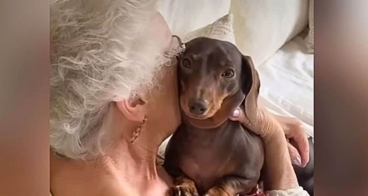 Oma und ihr Hund - wie dieser Dackel eine Großmutter lebendig hält, ist herzerwärmend