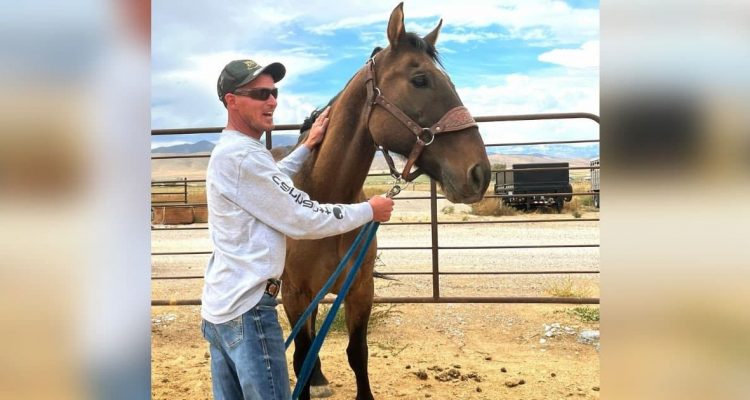Pferd kehrt nach 8 Jahren zu Besitzer zurück, nachdem es sich einer wilden Herde Mustangs anschloss