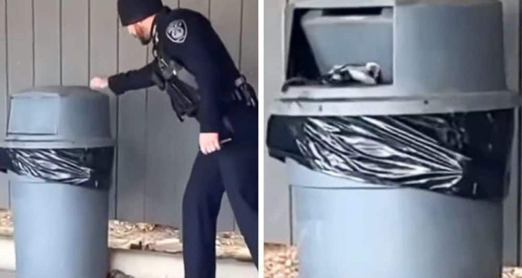 Polizeibeamter klopft an Mülltonne - wer dann rausguckt, bringt das ganze Internet zum Lachen