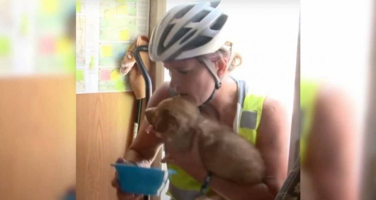 Radfahrerin entdeckt sterbenden Welpen in der Wüste - was sie dann tut, berührt alle Herzen