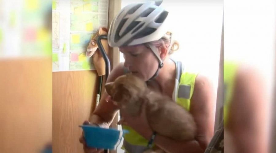 Radfahrerin entdeckt sterbenden Welpen in der Wüste - was sie dann tut, berührt alle Herzen