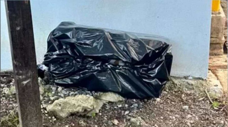 Schock-Fund Frau entdeckt mysteriöse Mülltüte – als sie den Inhalt sieht, ist sie sprachlos