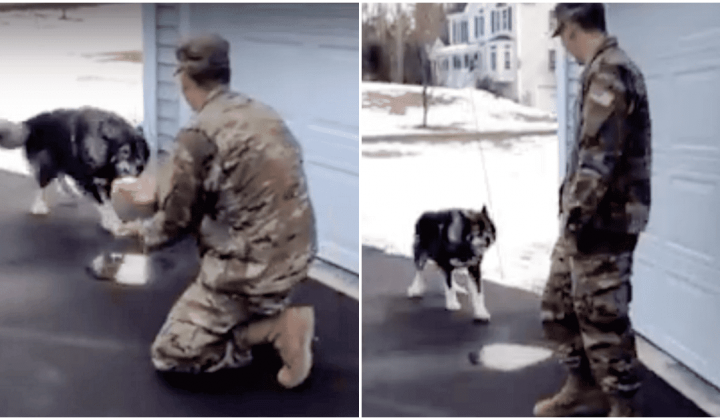 Soldat ist am Boden zerstört Sein Hund erkennt ihn nicht wieder, doch dann…