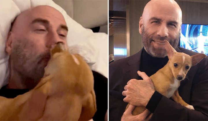 Süßer Rettungshund weckt Superstar John Travolta mit Küsschen auf