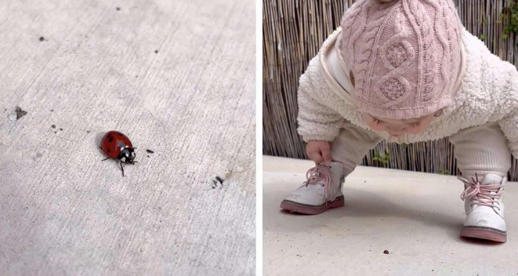 Süßes Video Die Reaktion dieses Mädchens auf einen Marienkäfer ist einfach unfassbar niedlich