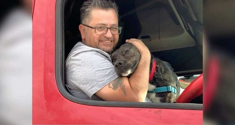 Tierheim-Hund wartete 1 Jahr auf Familie - Seine Reaktion als er adoptiert wird, ist herzergreifend