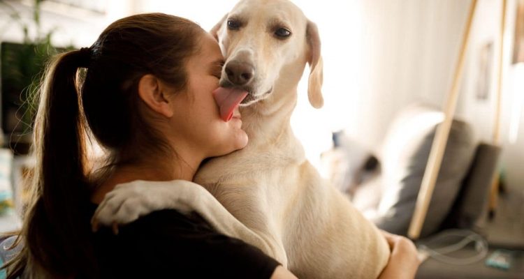 Verstehen Hunde, wenn ihr Besitzer traurig ist?