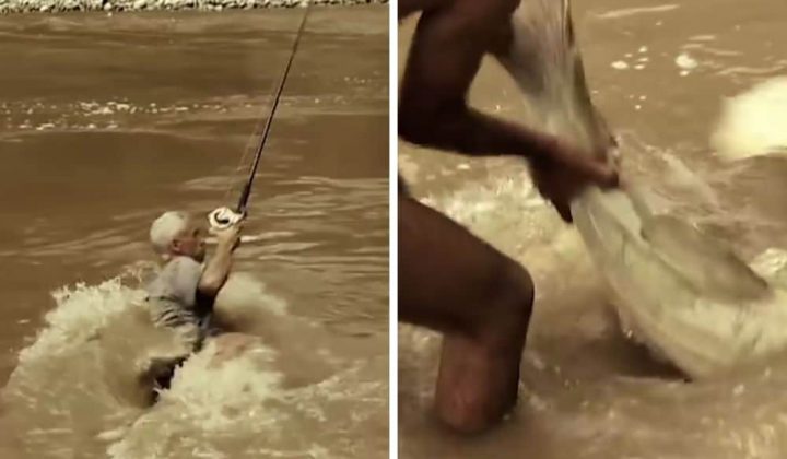 Video geht um die Welt Mann zieht ein menschengroßes Tier aus dem Wasser