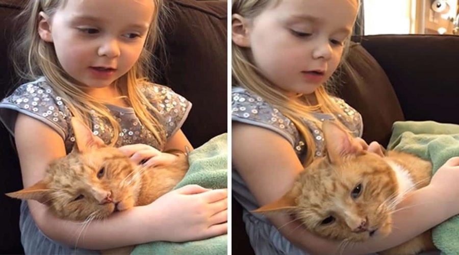 Video rührt zu Tränen: Kleines Mädchen singt Abschiedslied für ihre Katze, die im Sterben liegt