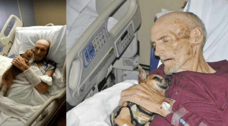 Video rührt zu Tränen Todkranker Mann sieht seinen Hund wieder, nachdem er im Tierheim landete