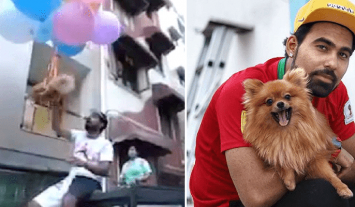 Youtuber riskiert für seinen Höhenflug ein Hundeleben