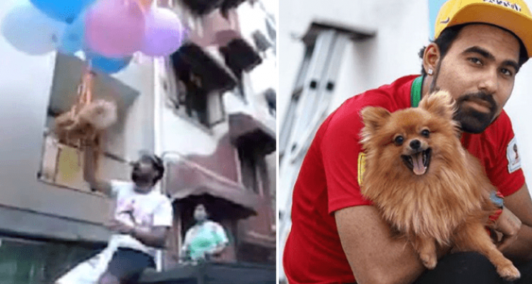 Youtuber riskiert für seinen Höhenflug ein Hundeleben