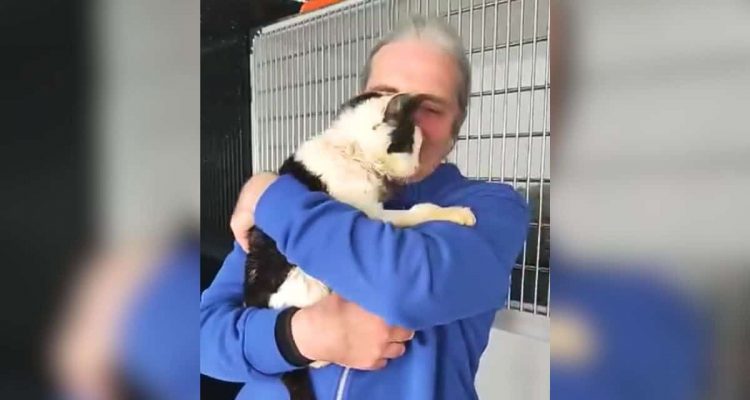 Blinde Katze nach Jahren wiedergefunden- Ihre Reaktion auf ihren Papa rührt zu Tränen
