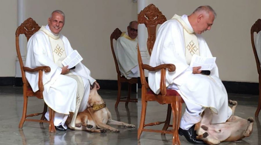 Hund stört Gottesdienst, weil er spielen will - Die Reaktion des Priesters ist unglaublich lustig