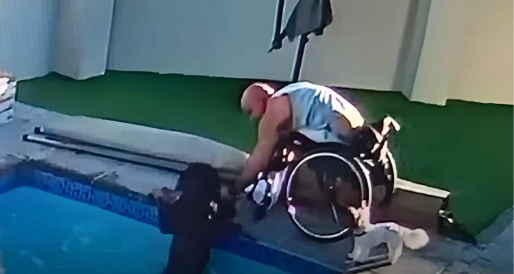 Hund fällt in den Pool - wie Herrchen im Rollstuhl reagiert, sorgt für Atemaussetzer
