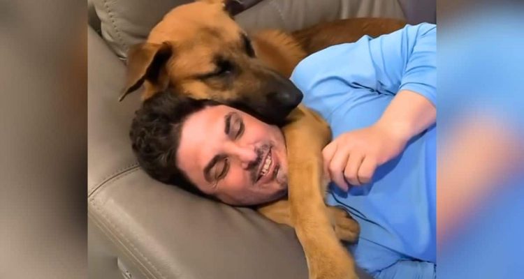 Ehepaar adoptiert Hund, Hund verliebt sich in Ehemann – so reagiert die Ehefrau