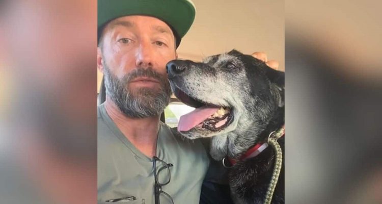 Emotionales Video: Mann nimmt krebskranken Hund auf, damit er nicht im Tierheim einsam sterben muss