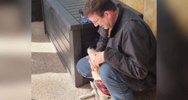 Familie nach 6 Jahren wieder mit verlorenem Hund vereint – das berührende Video geht viral