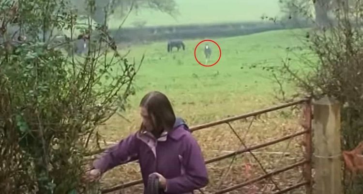 Frau besucht ihr Pferd nach 3 Wochen Trennung – die Reaktion des Tiers begeistert Millionen
