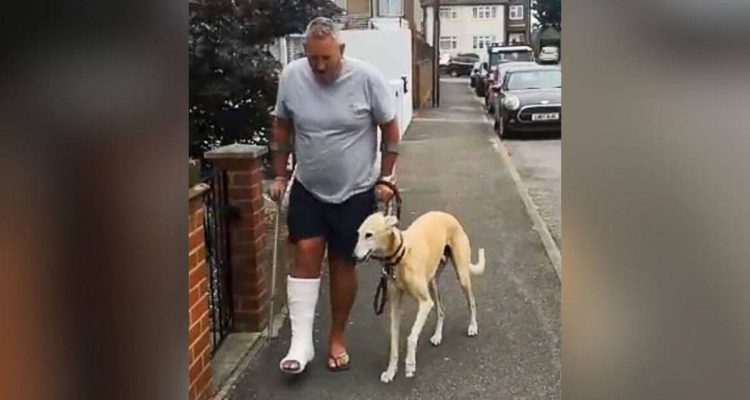 Herrchen bricht sich das Bein – Die Reaktion seines Hundes ist einfach nur süß!