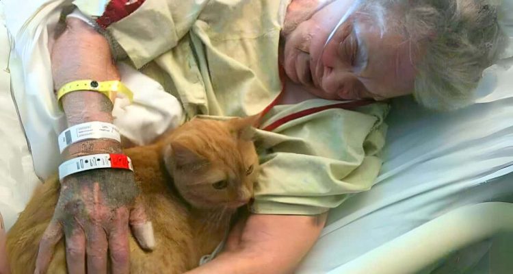 Herzergreifend: Oma hat letzten Wunsch vor ihrem Tod - sie möchte ihre Katze ein letztes Mal sehen