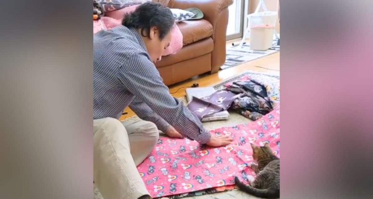 Herzerwärmende Geschichte- Altes Ehepaar stellt Betten und Spielzeug für Tierheim-Katzen her
