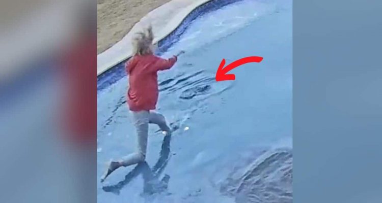 Hund bricht durch Eis ins Wasser- Die Reaktion seiner Besitzerin sorgt für Aufregung im Netz