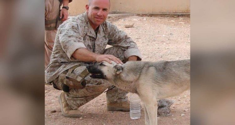 Hund folgt Soldat über 100 Kilometer quer durch die Wüste – was der Mann dann tut, rührt zu Tränen