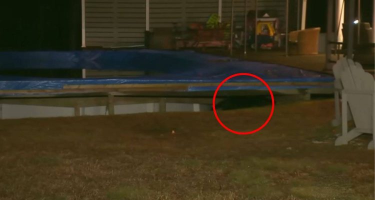 Hund knurrt Pool im Garten an - als sein Besitzer nachsieht, bekommt er den Schreck seines Lebens