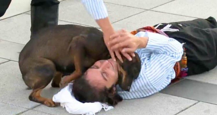 Straßenhund sieht Mann auf Boden liegen - seine Reaktion lässt alle Herzen schmelzen