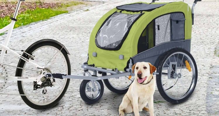 Hunde Fahrradanhänger XXL: Top 5 Modelle für große Hunde 2024