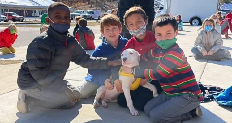 Lehrerin und ihre Schüler helfen mit dieser Idee dabei, 22 Tierheimhunden ein neues Zuhause zu geben