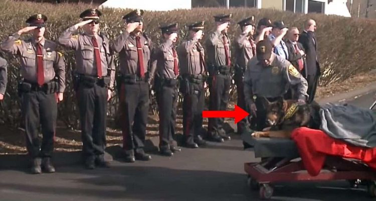 Tapferer Polizeihund ist todkrank- So rührend nehmen seine Kollegen Abschied