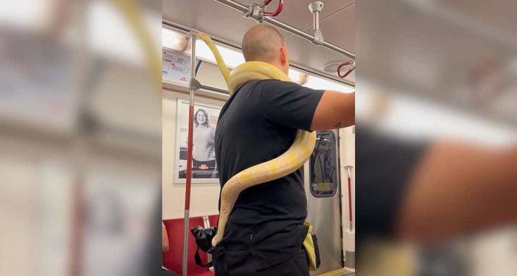 Mann steht in U-Bahn- Was er um den Hals trägt, lässt alle anderen lieber aussteigen