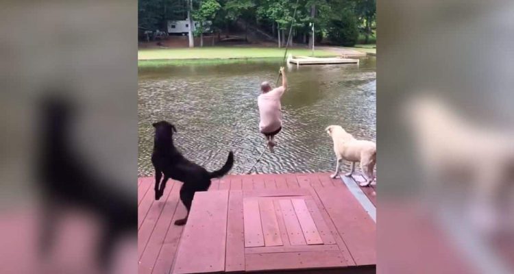 Mann fällt in einen See- Die Reaktion seiner 2 Hunde bringt Herzen auf der ganzen Welt zum Schmelzen