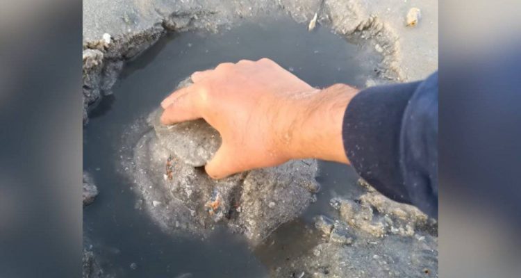 Mann gräbt mit Hand im Sandstrand – Was er dann herauszieht, lässt den Atem stocken
