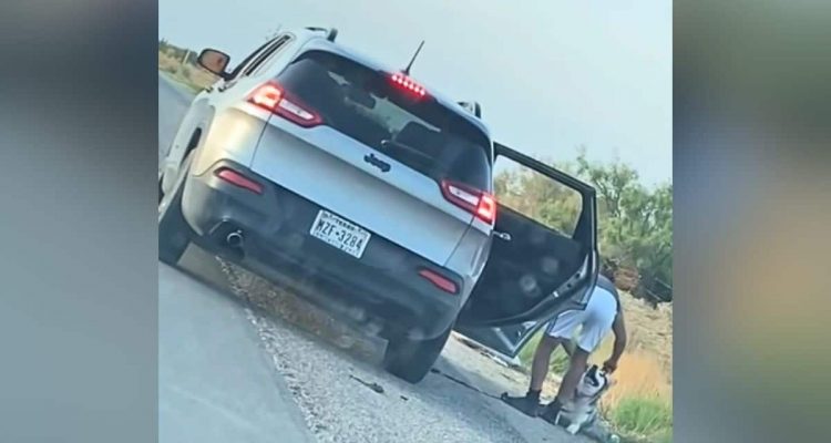 Mann holt Husky am Straßenrand aus dem Auto – Was er dann mit ihm tut, ist unverzeihlich