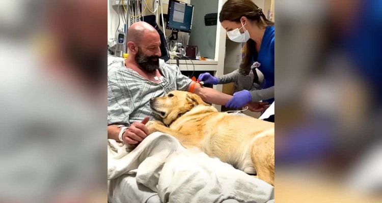 Mann kommt mit Herzproblemen ins Krankenhaus – So rührend hilft ihm sein Hund bei der Genesung