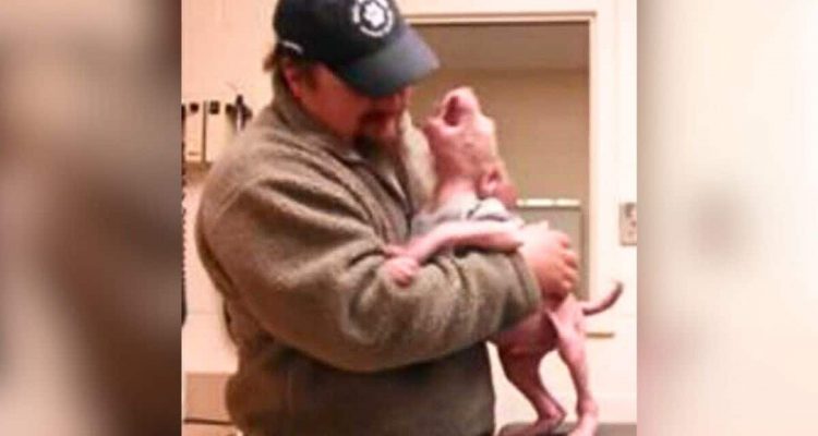 Man rescues puppy and takes him to vet clinic - What he does then touches millions of hearts