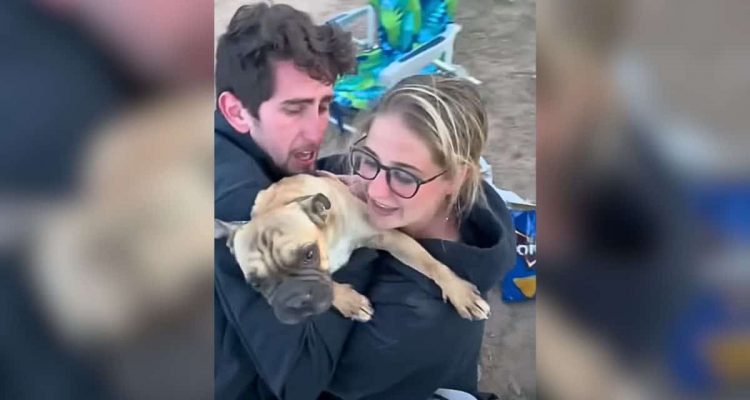 Paar findet Hund nach 4 Tagen in Wüste- Ihre Reaktion lässt das ganze Internet weinen