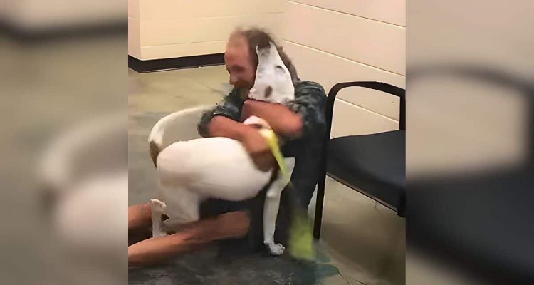Obdachlosem Mann wird Hund gestohlen- So herzergreifend zeigt der Hund beim Wiedersehen seine Freude