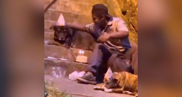 Obdachloser feiert Geburtstag-Party für seine 2 Hunde – Das Video rührt das ganze Internet zu tränen