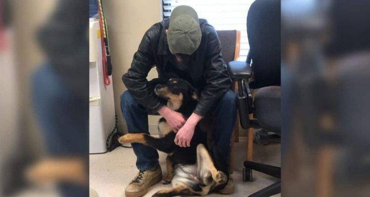 Obdachloser gibt seinen Hund aus Not im Tierheim ab – beim überraschenden Wiedersehen rollen Tränen
