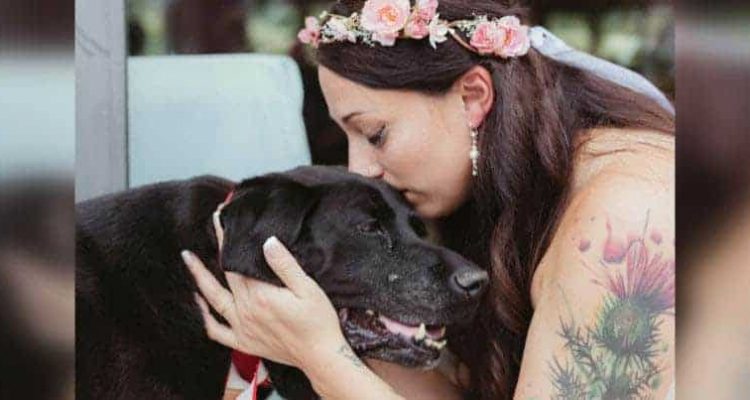 Todkranker-Hund-begleitet-Braut-zum-Altar-–-der-emotionale-Auftritt-ruehrt-Tausende-zu-Traenen