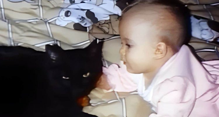 Schreie aus dem Babyfon- Heldenhafte Katze rettet kleines Baby vor dem Erstickungstod