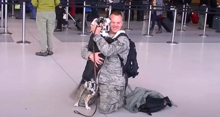 Soldat kommt wieder nach Hause- Als er das plötzlich am Flughafen sieht, geht er sofort in die Knie