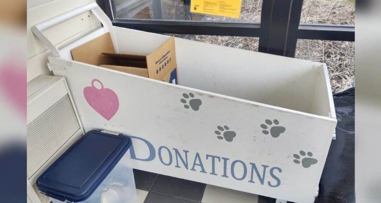 Tierheim-Mitarbeiter sind schockiert, als das in der Spendenbox entdecken…