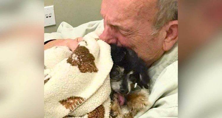 Unzertrennlich bis zum Ende- Wie ein alter Mann auf Tod seines Hundes reagiert, macht tief betroffen