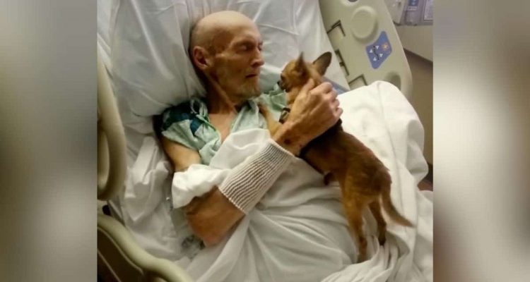 Video rührt zu Tränen Todkranker Mann sieht seinen Hund wieder nachdem er im Tierheim landete