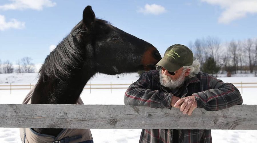 42 Jahre Freundschaft mit einem Pferd